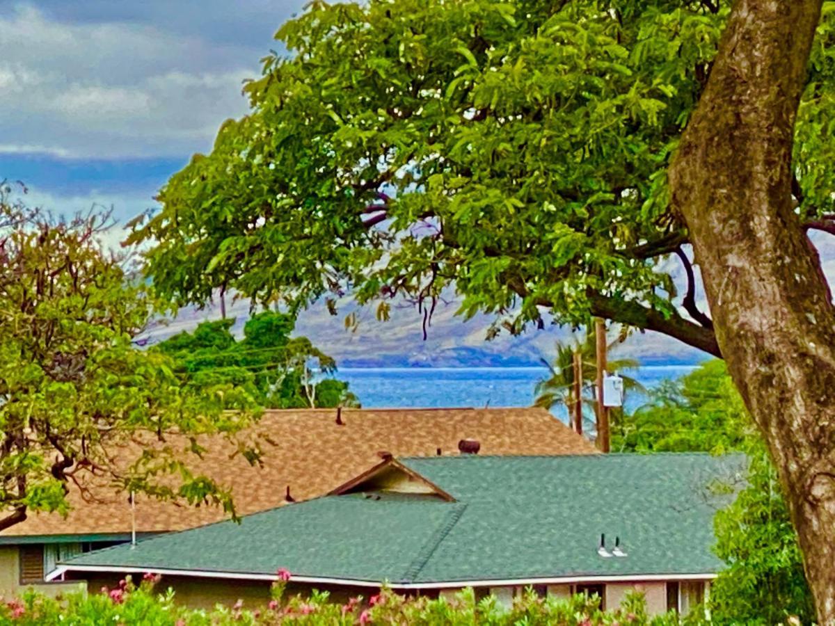 Maui-Licious By The Beach Kihei Buitenkant foto
