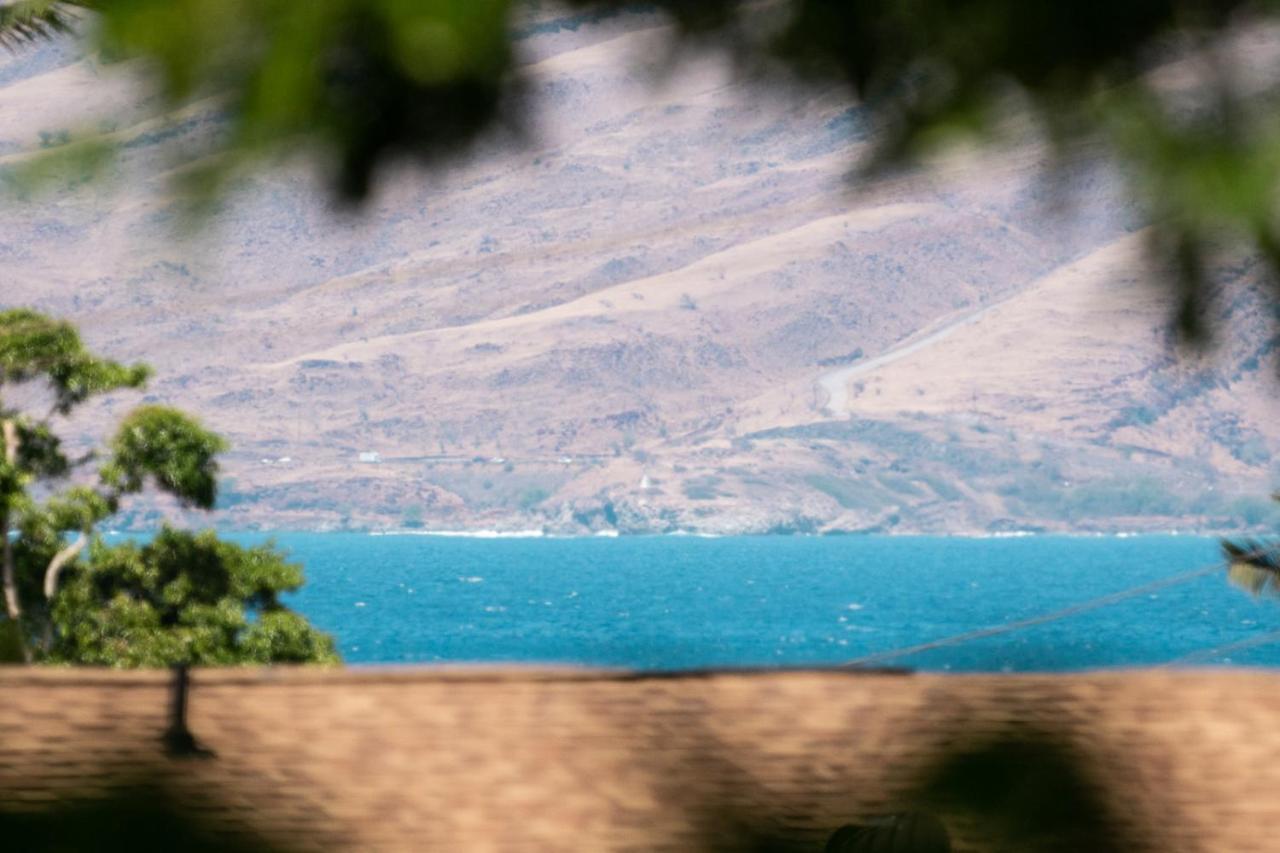 Maui-Licious By The Beach Kihei Buitenkant foto