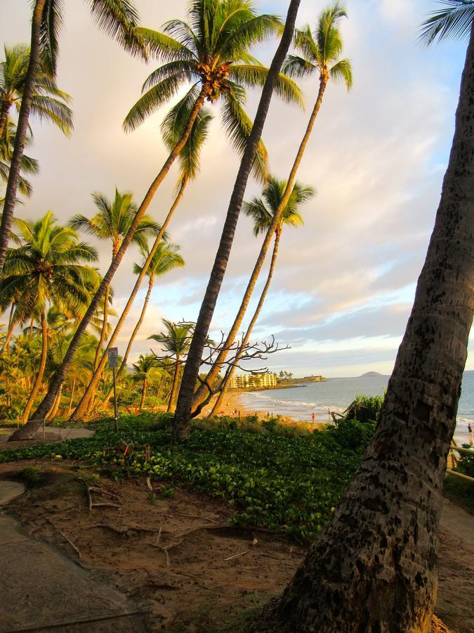 Maui-Licious By The Beach Kihei Buitenkant foto